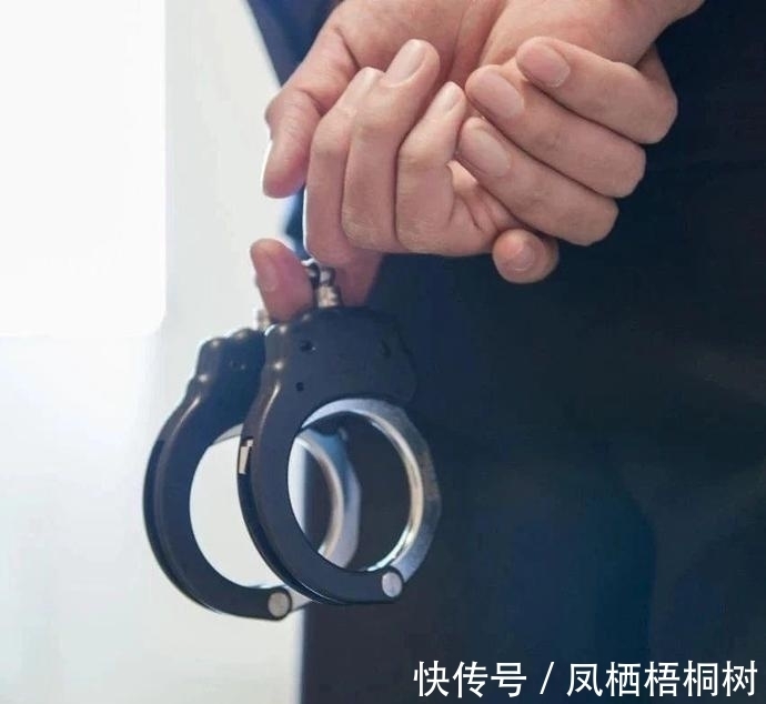 梦幻西游各种卡